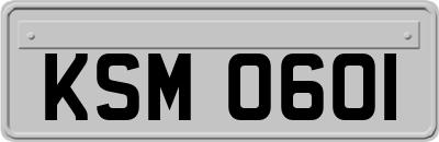 KSM0601