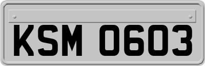 KSM0603