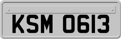 KSM0613