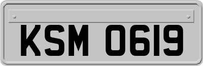 KSM0619