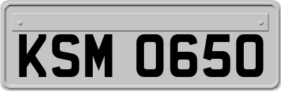 KSM0650