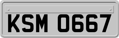 KSM0667