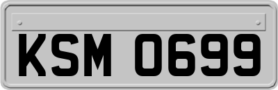 KSM0699