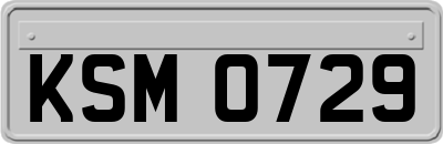 KSM0729