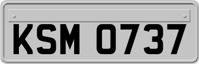 KSM0737