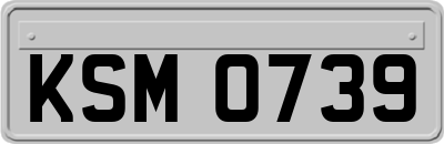 KSM0739