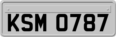 KSM0787