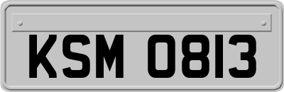 KSM0813