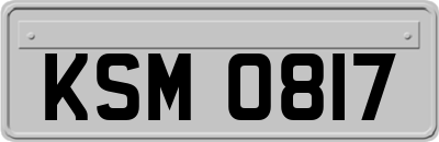 KSM0817
