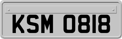 KSM0818