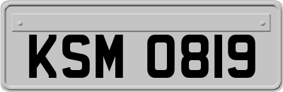 KSM0819