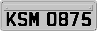 KSM0875