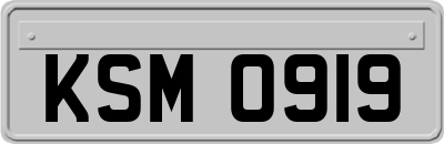KSM0919