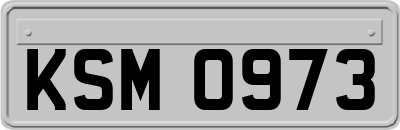 KSM0973
