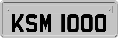 KSM1000