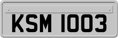 KSM1003