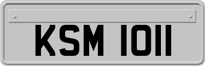 KSM1011