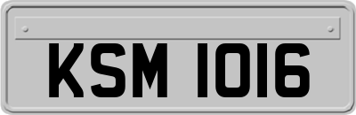 KSM1016