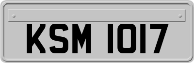 KSM1017