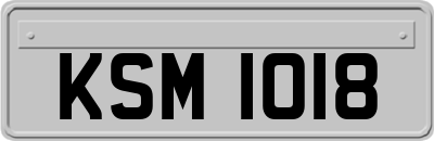 KSM1018