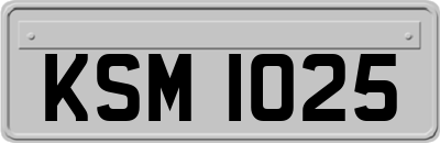 KSM1025