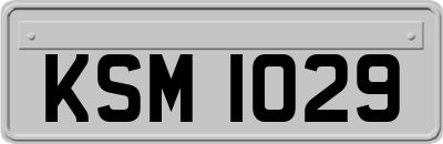 KSM1029