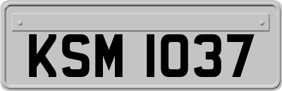 KSM1037