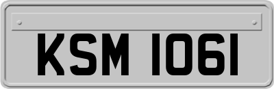 KSM1061