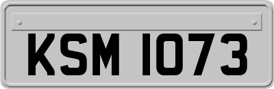 KSM1073