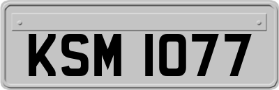 KSM1077