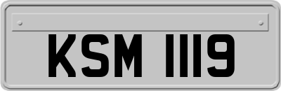 KSM1119