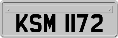 KSM1172