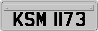 KSM1173