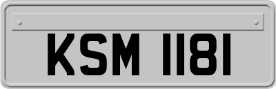 KSM1181