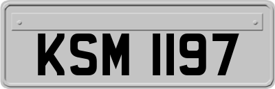 KSM1197