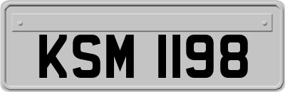 KSM1198