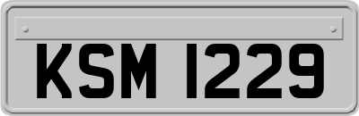 KSM1229