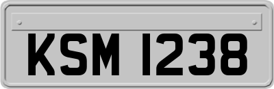 KSM1238