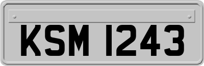 KSM1243