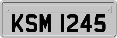 KSM1245