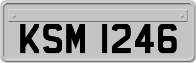 KSM1246