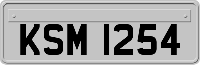 KSM1254