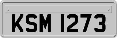 KSM1273