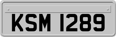 KSM1289