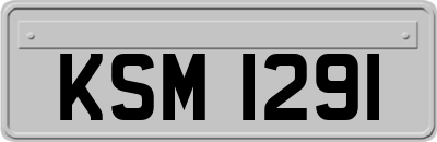KSM1291