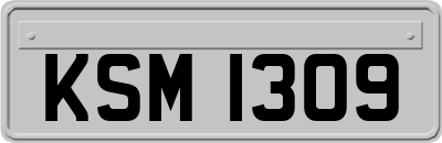 KSM1309