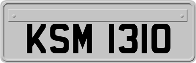 KSM1310