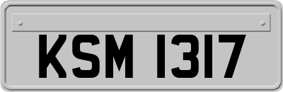 KSM1317