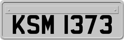 KSM1373