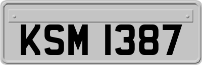 KSM1387